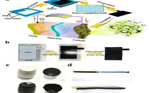 大连化物所：柔性电极研究取得新进展