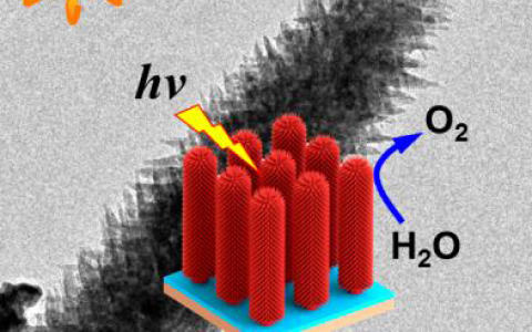 天津大学巩金龙Angew. Chem. Int. Ed.:TiO2中间层提高Fe2O3枝晶阵列光电催化产氧性能