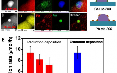 大连化物所李灿院士JACS：等离子激元光催化中水氧化反应活性位点定位