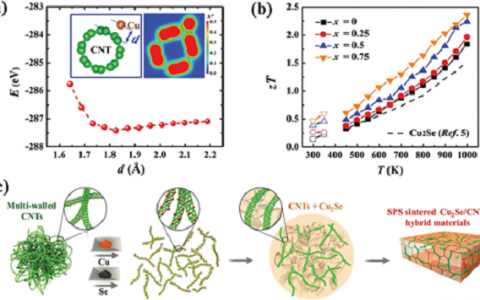 Energ. Environ. Sci.:高分散分子级CNTs/Cu2Se杂化材料具备超高热电性能