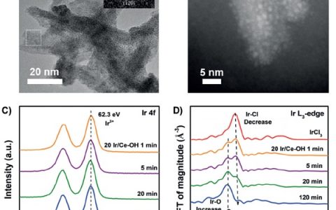 Angew. Chem. Int. Ed.：强金属载体相互作用铱/氧化铈催化剂调节二氧化碳加氢反应选择性