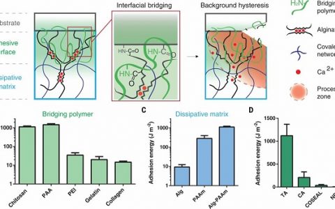Science盘点: 7月材料领域重大进展