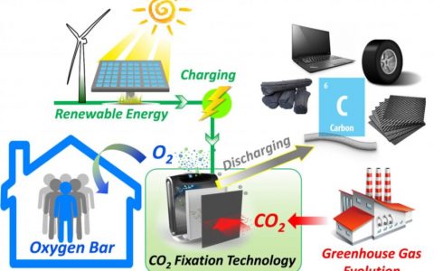 电池启动的碳固定策略