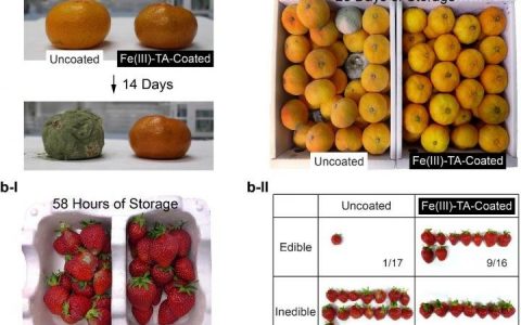 纳米抗菌喷雾可延长产品的保质期