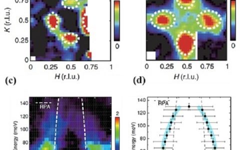 复旦大学物理系赵俊课题组：揭示电子掺杂铁硒超导体中“扭曲”的磁激发结构