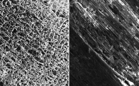 松木激光诱导石墨烯——可降解的电子产品