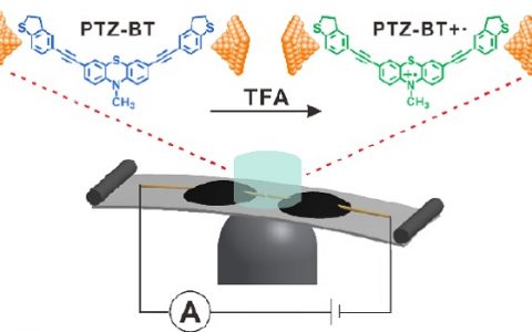 厦大团队：单分子自由基电子器件取得新进展