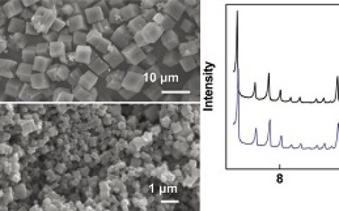 中科院上海药物所等:在MOF载药研究中取得进展