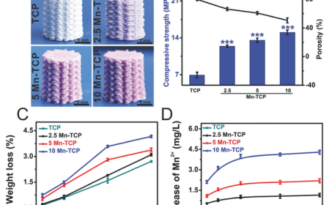 Adv. Funct. Mater.:3D打印Mn-TCP双联生物陶瓷支架用于骨-软骨再生