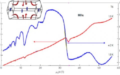 北京大学贾爽及合作者:关于“TaP中磁场诱导的外尔费米子湮灭”的研究成果