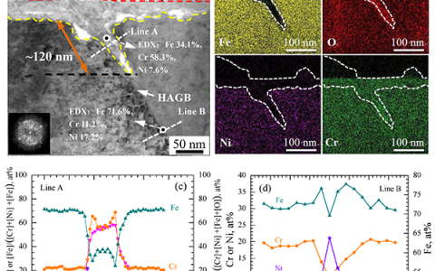 Corros. Sci.:深入探求304核级不锈钢的辐照腐蚀过程