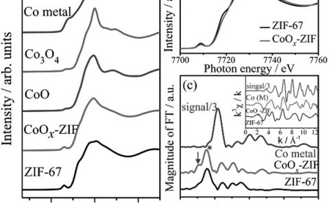 Adv. Funct. Mater.: 金属-有机骨架中原子尺度CoOx的制备及其对析氧反应的催化