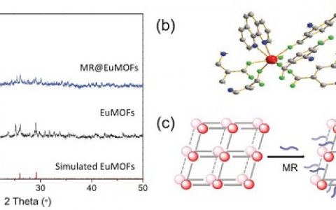 同济大学闫冰Adv. Mater.: 具有双刺激-响应荧光中心的染料共价修饰EuMOFs用于食品腐败监测