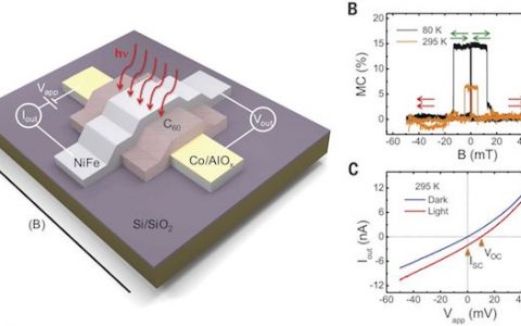 Science：分子自旋光伏器件