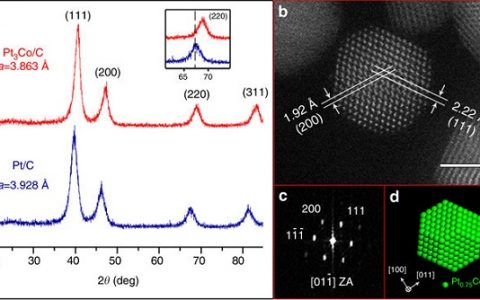 Nat. Commun.:原子级原位观察Pt3Co纳米颗粒中氧-驱动核壳结构的形成过程
