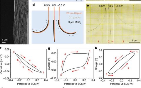 今日Nature：利用MoS2纳米片打造电化学致动器