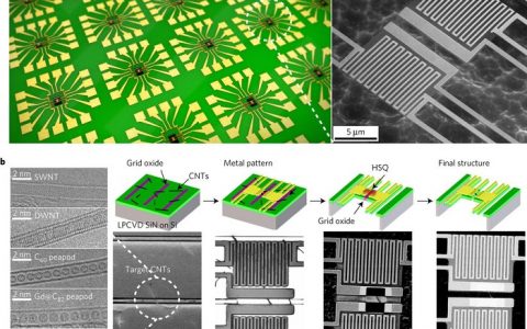 Nature Materials:富勒烯封装调制单个碳纳米管的热和热传输性能