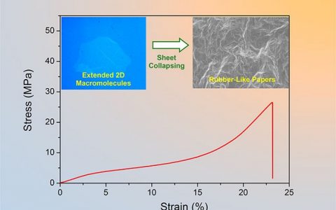 浙大高超教授团队ACS Nano:通过氧化石墨烯片塌缩行为构建类橡胶的高柔性石墨烯膜