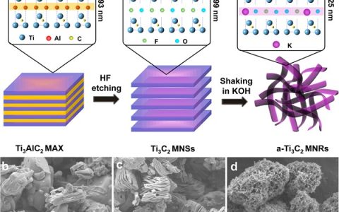大连化物所Nano Energy:层间距扩大的碱化Ti3C2 MXene纳米带用于高容量钠离子和钾离子电池