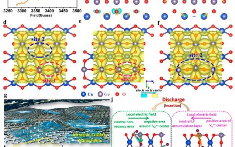 谢毅院士ACS Nano：局域电场助力高性能锂离子电池