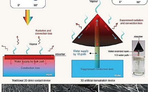 朱嘉课题组Natl. Sci. Rev.:“人工蒸腾”:新型高效太阳能水处理结构