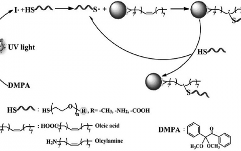 Adv. Mater. ：作为胶体纳米晶表面官能化的简便通用方法的硫醇-烯化反应
