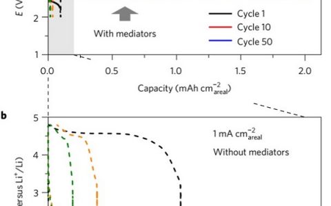 牛津大学Peter G. Bruce团队丨采用双媒介稳定碳电极的锂氧电池