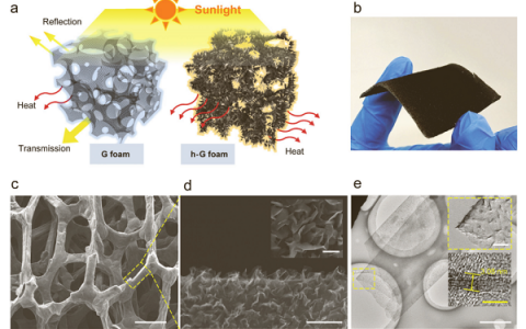 刘忠范Adv. Mater.:多级结构石墨烯泡沫用于高效太阳能-热能转换