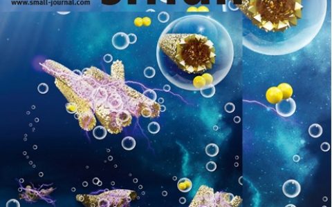 江南大学杜明亮教授Small内封面：基于纳米纤维反应器来设计和调控双相CoMn2O4中空管状多级结构用于高效析氧反应