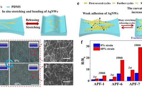 J. Mater. Chem. C东华大学：多功能可拉伸导电薄膜