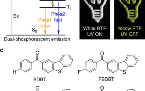 Nat. Commun.:具有双室温磷光的单一有机分子的白光发射
