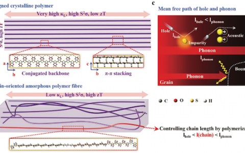 清华大学Adv. Funct. Mater.：聚合物热电材料热输运性质调控的理论研究