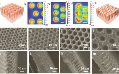 Adv. Mater.:通过调控锂在垂直微孔孔道中的沉积/溶解获得稳定的锂金属负极