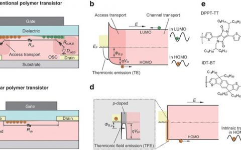 Adv. Mater. : 共轭聚合物中的电荷传输