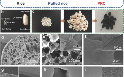 Adv. Energy Mater.：受爆米花启发的多孔宏观碳：水稻快速膨化加工及其在锂硫电池中的应用