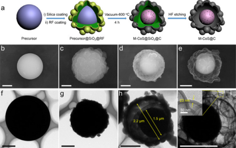 武汉理工大学Nano Energy : 自适应介孔CoS-小泡状碳壳蛋黄-蛋壳微球用于碱金属离子储存