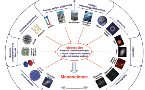Natl.Sci.Rev.：介科学：探索介尺度共性原理