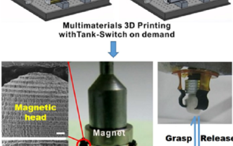 中科院兰州化物所:多材料3D打印免装配柔性驱动器研究取得进展