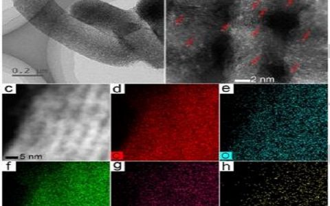 新疆理化所等：非贵金属氧还原催化剂研究中取得进展