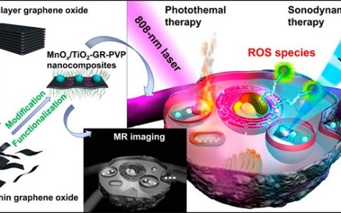 ACS Nano：二维石墨烯增强TiO2基声敏剂声催化效率用于声动力学治疗