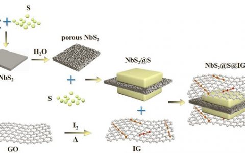 福建物构所王瑞虎课题组等：在高倍率长寿命锂硫电池研究中取得进展