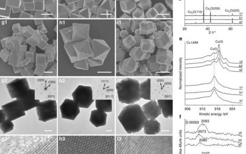 中科大黄伟新团队Nat. Commun.：利用铜纳米晶确定低温水煤气变换反应的催化活性位点