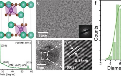 中科院大连化物所韩克利Angew. Chem. Int. Ed.：非铅钙钛矿纳米晶缺陷态钝化机理