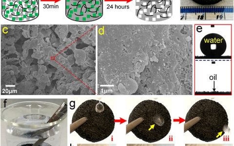 Adv. Funct. Mater.:以食盐颗粒为模板制备多孔PVDF-MWCNT复合油水分离海绵