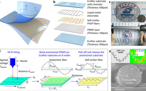 华中科技大学黄永安Nano Energy：基于自相似微纳米纤维的超延展压电传感器