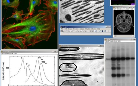 干货丨为科研学术环境精挑细选的10款Windows软件