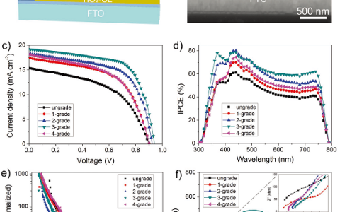 山东大学Adv. Mater.:无空穴传输层的钙钛矿太阳能电池的分级异质结工程改善其空穴提取和传输