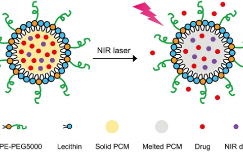 夏幼南Adv. Mater.: “一夫当关,万夫莫开”近红外控制的共晶天然脂肪酸相变引发药物释放