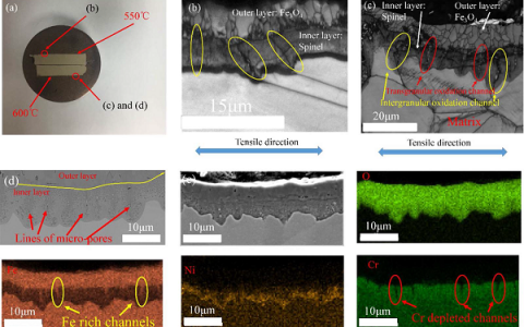 Corros. Sci.:超临界水中316L不锈钢的腐蚀和应力腐蚀敏感性研究