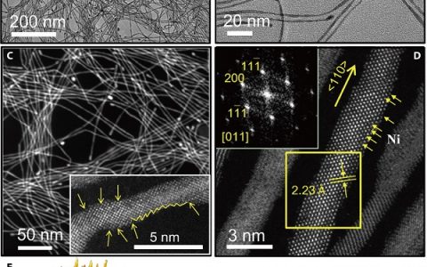 清华大学Science Advances：超细Pt-Mo-Ni纳米线催化剂用于乙醇电氧化